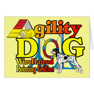 Drahthaar Pointing Griffon