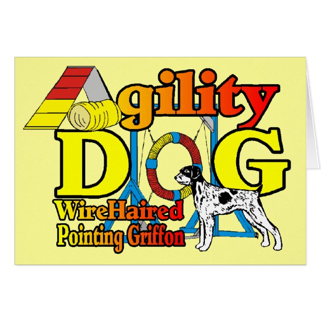 Drahthaar Pointing Griffon (Vorderseite (Horizontal))