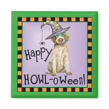 Drahthaar Pointing Griffon Hexe