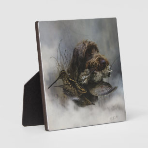 Drahthaar Pointing Griffon, Jagd auf Holzhaken Fotoplatte