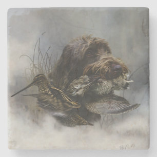 Drahthaar Pointing Griffon, Jagd auf Holzhaken Steinuntersetzer