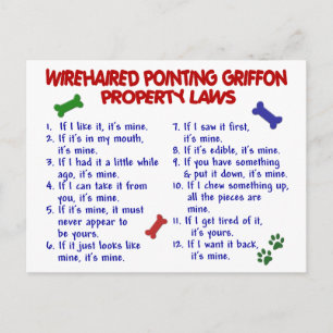 Drahthaar POINTING GRIFFON Property Laws 2 Postkarte