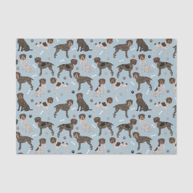 Drahthaar Pointing Griffon Seidenpapier (Vorderseite)