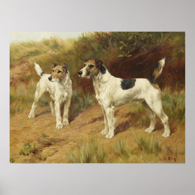 Drahthaar-Terrier von Thomas Blinks Poster (Vorne)