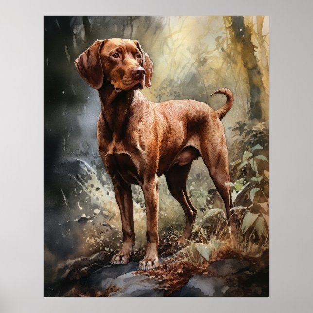 Drahthaar Vizsla Dog Art Print Poster (Vorne)