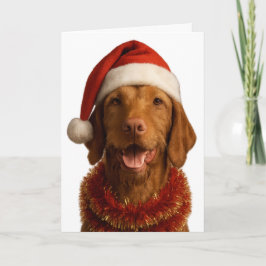 Drahthaar-Vizsla in einem Weihnachtsmannhut Weihna Karte