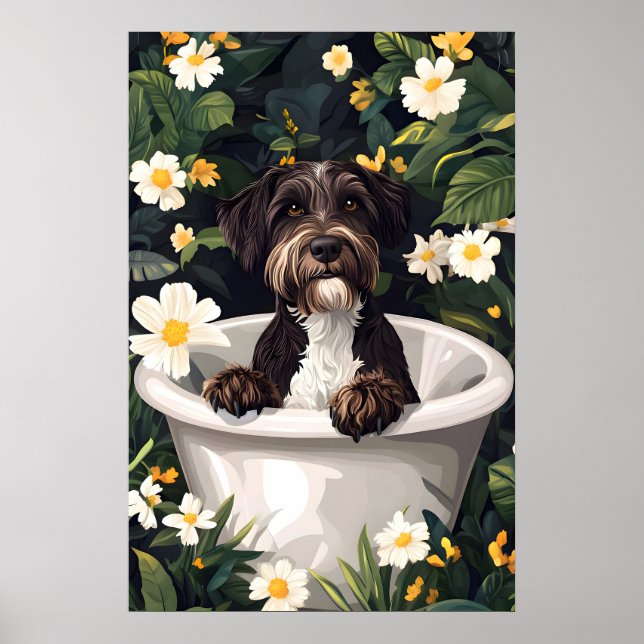 Drahthaariger Griffon im Badewanne-Poster Poster (Vorne)