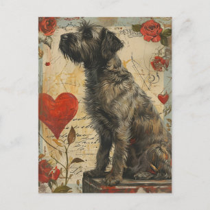 Drahthaariger Vorstehhund Valentinstag Postkarte