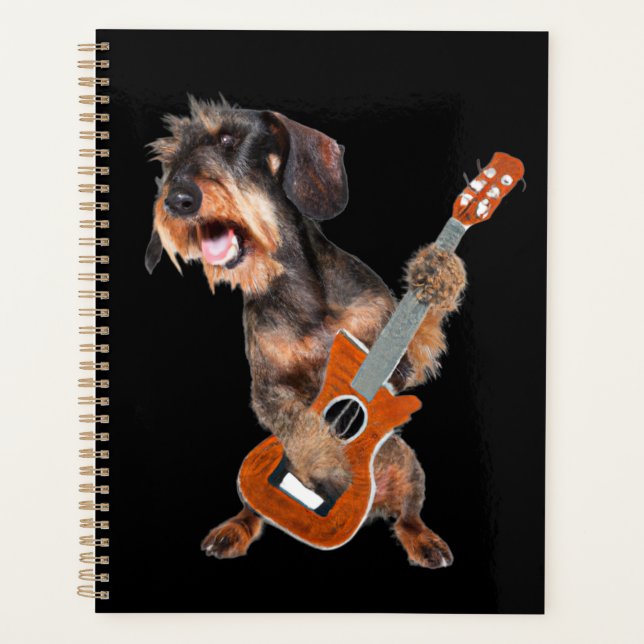 Drahthaarterrier Dackel Gitarrenplaner spielen Planer (Vorderseite)
