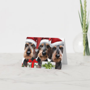 Drahthaarterrier Dackel Weihnachtskarte Karte