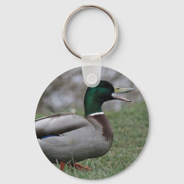 Drake Mallard Duck Schlüsselanhänger (Vorderseite)