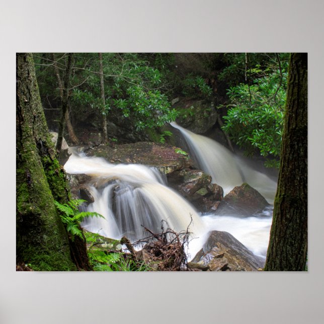 Drakes Creek Falls Poster (Vorne)