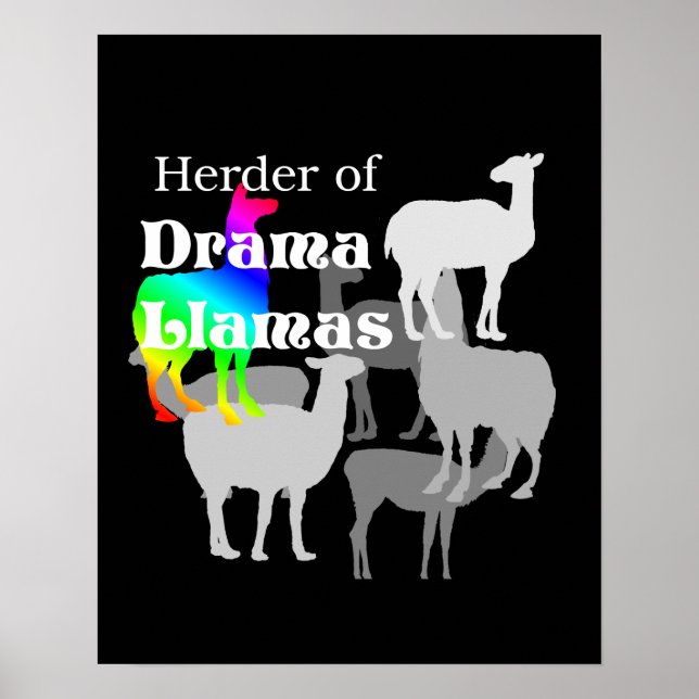 Drama Llama Herder Poster (Vorne)