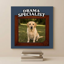 Dramaspezialist Individuelles lustiges Hunde-Foto