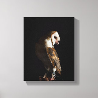 Dramatic Barn Owl Portrait in the Dark Leinwanddruck
