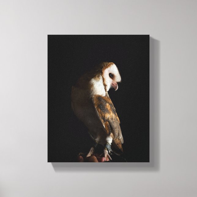 Dramatic Barn Owl Portrait in the Dark Leinwanddruck (Vorderseite)