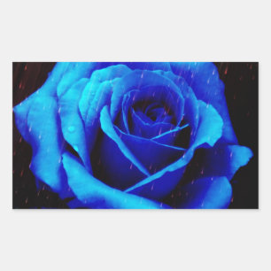 Dramatisch Blaue Rose Rechteckiger Aufkleber