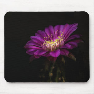 Dramatisch Flatty Cake Cactus Blume Mousepad