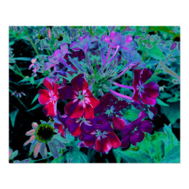 Dramatische Blume Rot, Lila und Rosa Garten Poster