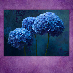Dramatische Fette Blaue Hortensien Blumen Botanisc Poster
