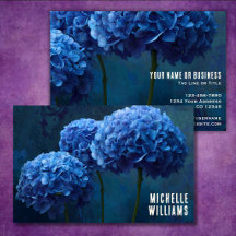 Dramatische Fette Blaue Hortensien-Blumen-Branding