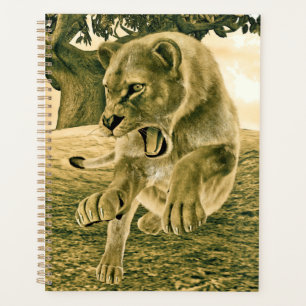 Dramatische Löwinnen-Safari-Wildnis-Kunst Planer