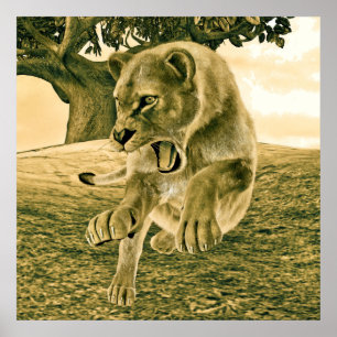 Dramatische Löwinnen-Safari-Wildnis-Kunst Poster
