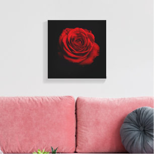 Dramatische Rote Rose - Minimalistische Blumendruc Leinwanddruck