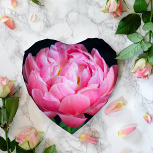 Dramatische wundervolle rosa Pfingstrose Seidenpapier