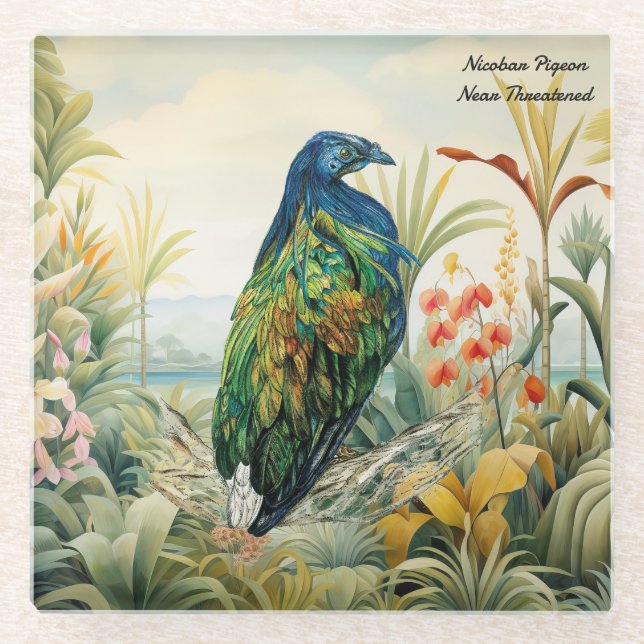 Dramatischer, handgemalter Nicobar-Taube Glasuntersetzer (Vorderseite)