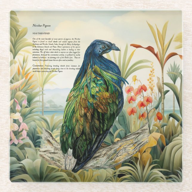 Dramatischer, handgemalter Nicobar-Taube Glasuntersetzer (Vorderseite)