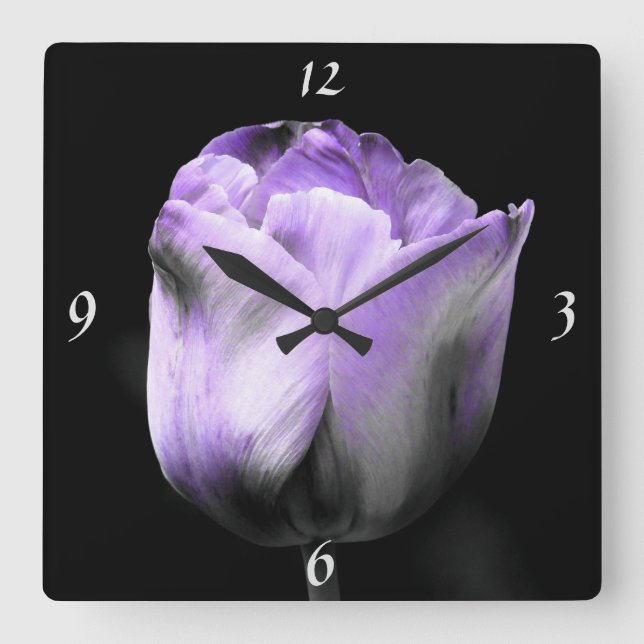 Dramatischer Lavendel Lila N Silver Tulip auf schw Quadratische Wanduhr (Vorderseite)