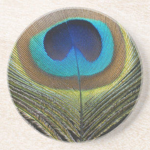 Dramatischer Pfauenfuather Untersetzer