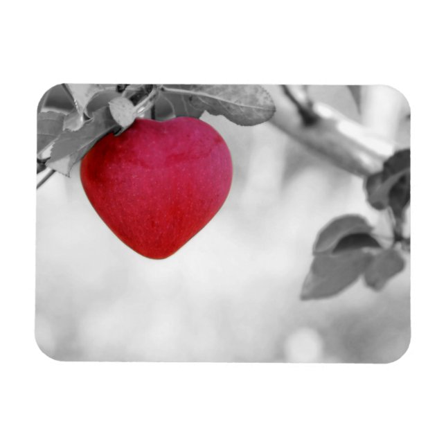 Dramatischer Red Heart Shape Apple Magnet (Horizontal)