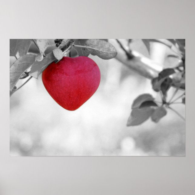 Dramatischer Red Heart Shape Apple Poster (Vorne)