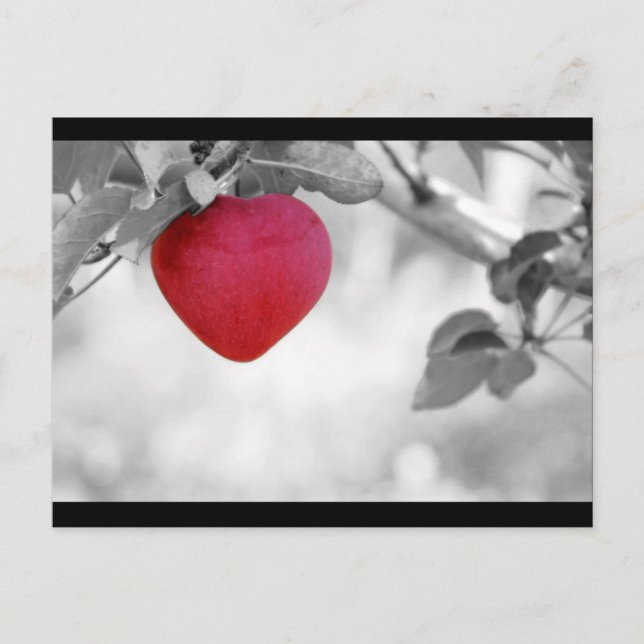 Dramatischer Red Heart Shape Apple Postkarte (Vorderseite)