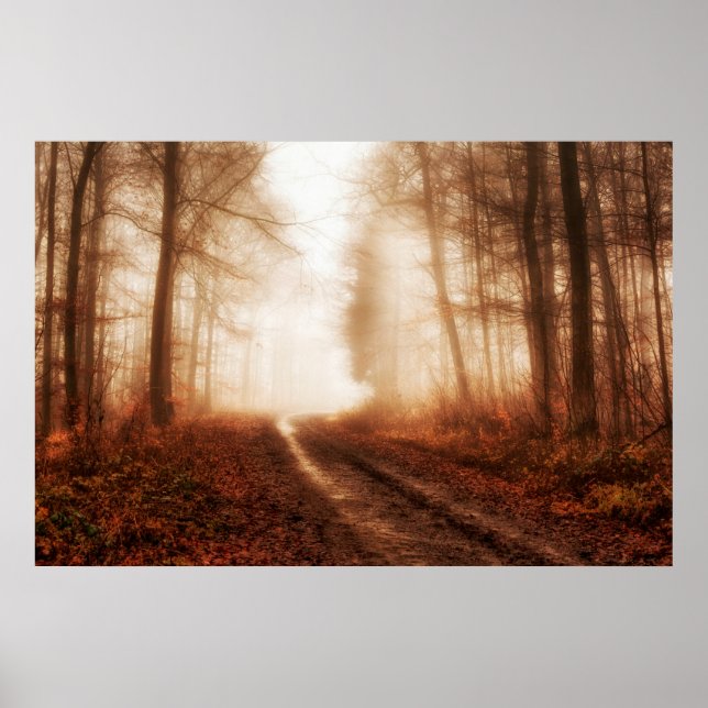 Dramatischer roter Nebel im Winter verschneiten Wa Poster (Vorne)