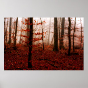 Dramatischer roter Nebel im Winter verschneiten Wa Poster