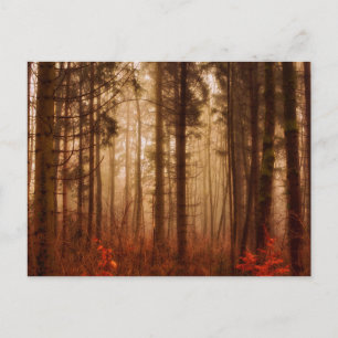 Dramatischer roter Nebel im Winter verschneiten Wa Postkarte