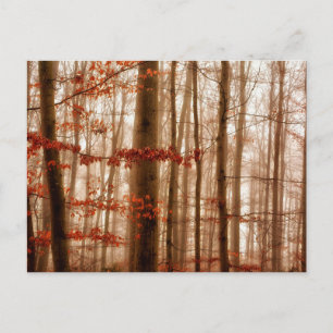 Dramatischer roter Nebel im Winter verschneiten Wa Postkarte