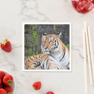 Dramatisches Porträt einer ruhenden Tigerin Serviette