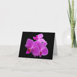 Drastische lila Orchideen auf einem Schwarzen Karte