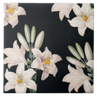 Drastische Schwarzweiss-Lilien