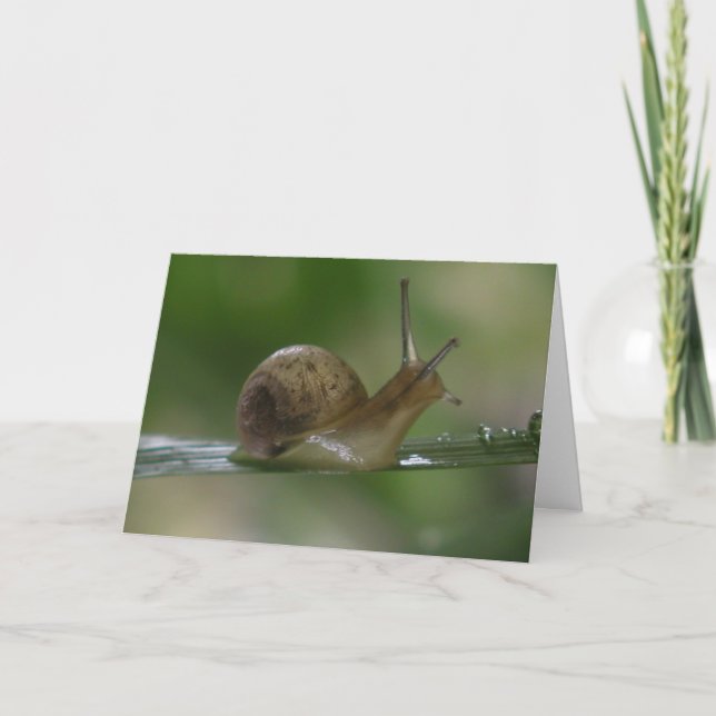 Drat! Noch einmal. Karte (Vorderseite)