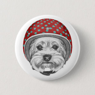 Draufgänger Yorkshires Terrier Button
