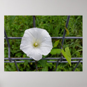 draußen im Regen Poster