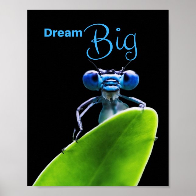 Dream Big Dragonfly Motivierend Matt Poster (Vorne)