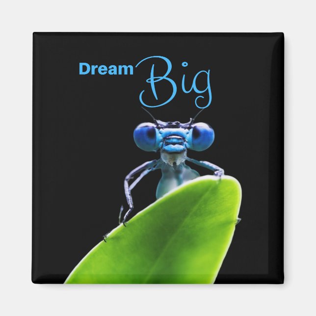 Dream Big Dragonfly Motivierend Zitat Magnet (Vorne)