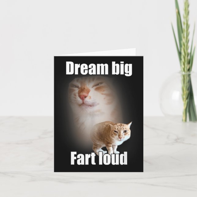 Dream Big Fart Loud Cat Meme Funny Saying  Karte (Vorderseite)
