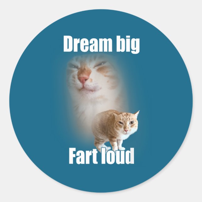 Dream Big Fart Loud Cat Meme Funny Saying  Runder Aufkleber (Vorderseite)